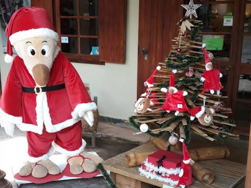 Vanilla Zoo Celebrates Christmas