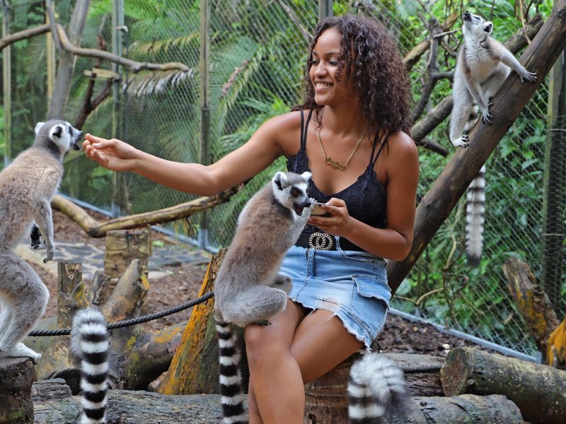 Meerkat Mob Meet and Greet Weekend