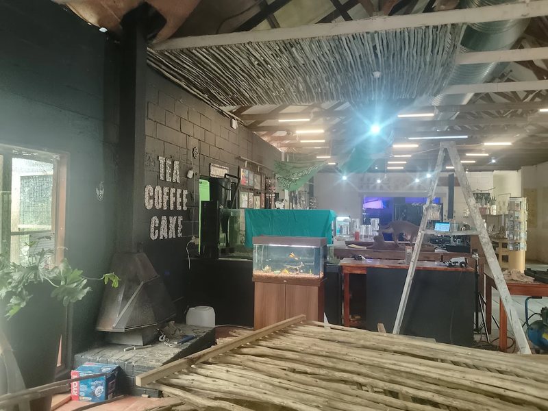 Safari Cafe Gets a Fresh New Look