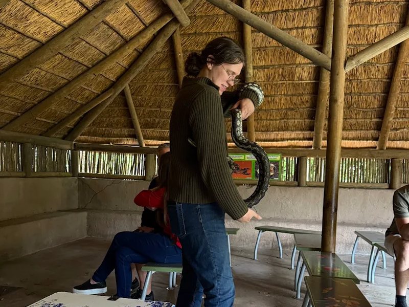 Inside Our Animal Care Clinic